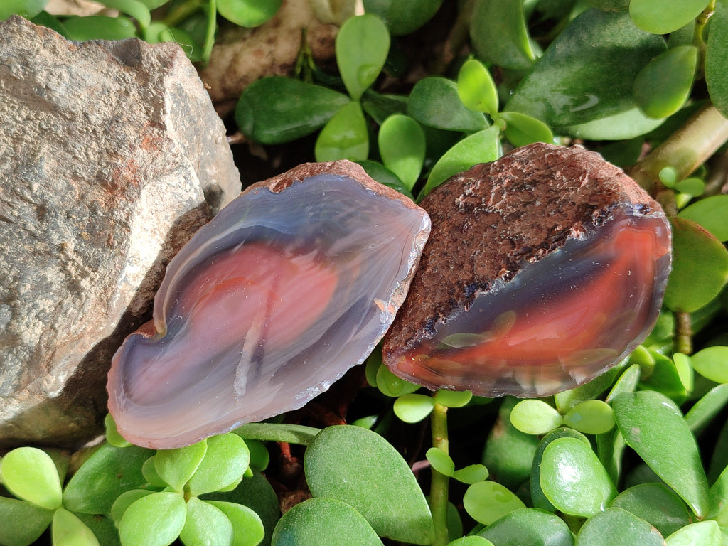 Polished On One Side Red Sashe River Agate Nodules x 20 From Zimbabwe - Toprock Gemstones and Minerals 