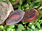 Polished On One Side Red Sashe River Agate Nodules x 20 From Zimbabwe - Toprock Gemstones and Minerals 