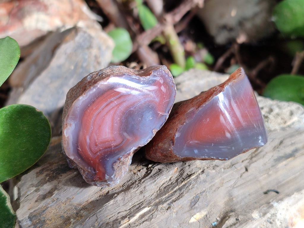 Polished On One Side Red Sashe River Agate Nodules x 20 From Zimbabwe - Toprock Gemstones and Minerals 