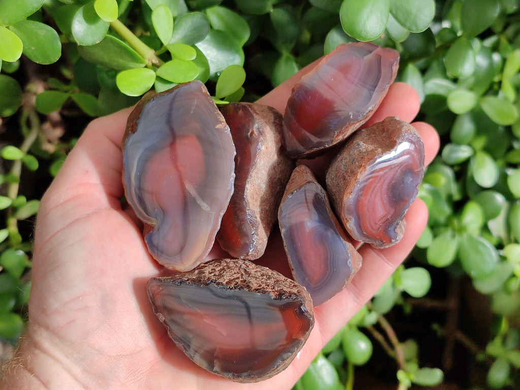 Polished On One Side Red Sashe River Agate Nodules x 20 From Zimbabwe - Toprock Gemstones and Minerals 