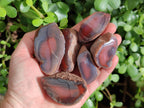 Polished On One Side Red Sashe River Agate Nodules x 20 From Zimbabwe - Toprock Gemstones and Minerals 
