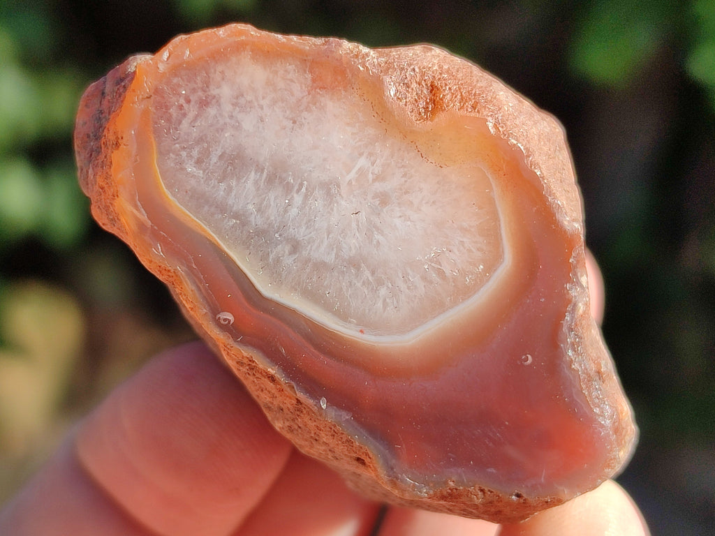 Polished On One Side Red Sashe River Agate Nodules x 20 From Zimbabwe - Toprock Gemstones and Minerals 