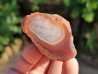 Polished On One Side Red Sashe River Agate Nodules x 20 From Zimbabwe - Toprock Gemstones and Minerals 