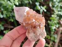 Natural Cactus Flower Smokey Amethyst Spirit Clusters x 12 From South Africa - Toprock Gemstones and Minerals 