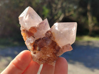 Natural Cactus Flower Smokey Amethyst Spirit Clusters x 12 From South Africa - Toprock Gemstones and Minerals 