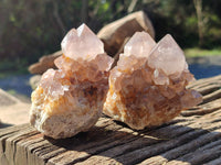 Natural Cactus Flower Smokey Amethyst Spirit Clusters x 12 From South Africa - Toprock Gemstones and Minerals 