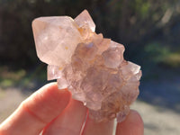 Natural Cactus Flower Smokey Amethyst Spirit Clusters x 12 From South Africa - Toprock Gemstones and Minerals 