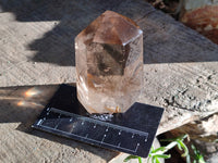 Polished Mix of Selected Crystal Points x 6 From Madagascar