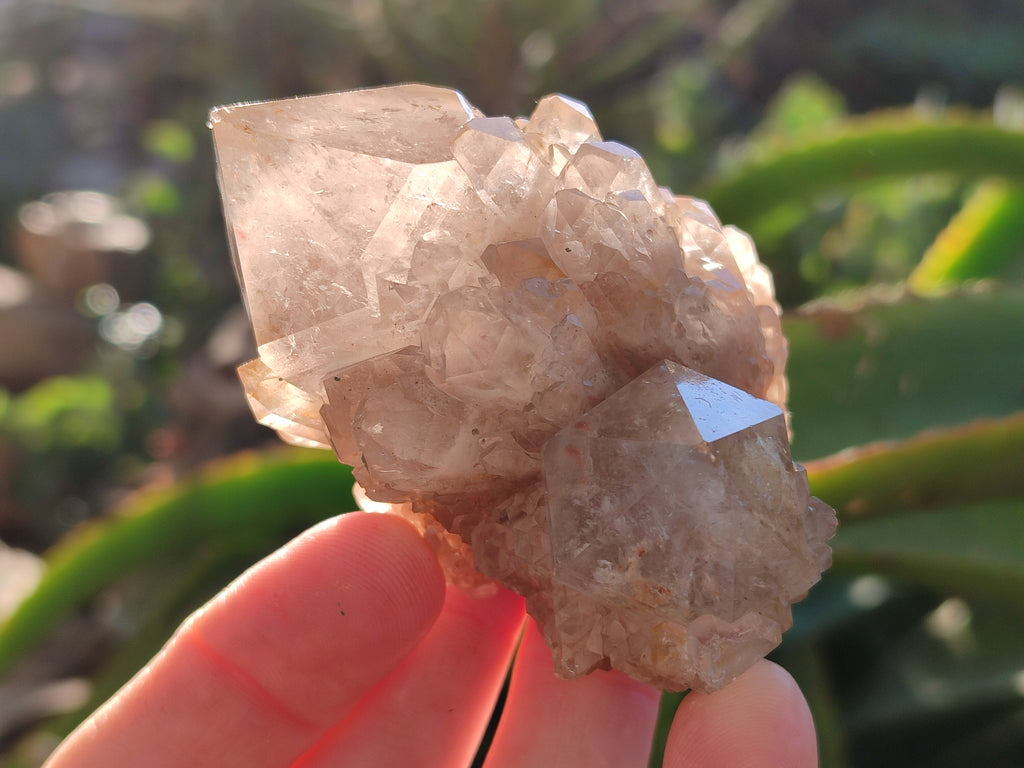 Natural White Phantom Cascading Smokey Quartz Clusters x 12 From Luena, Congo - Toprock Gemstones and Minerals 