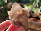 Natural White Phantom Cascading Smokey Quartz Clusters x 12 From Luena, Congo - Toprock Gemstones and Minerals 