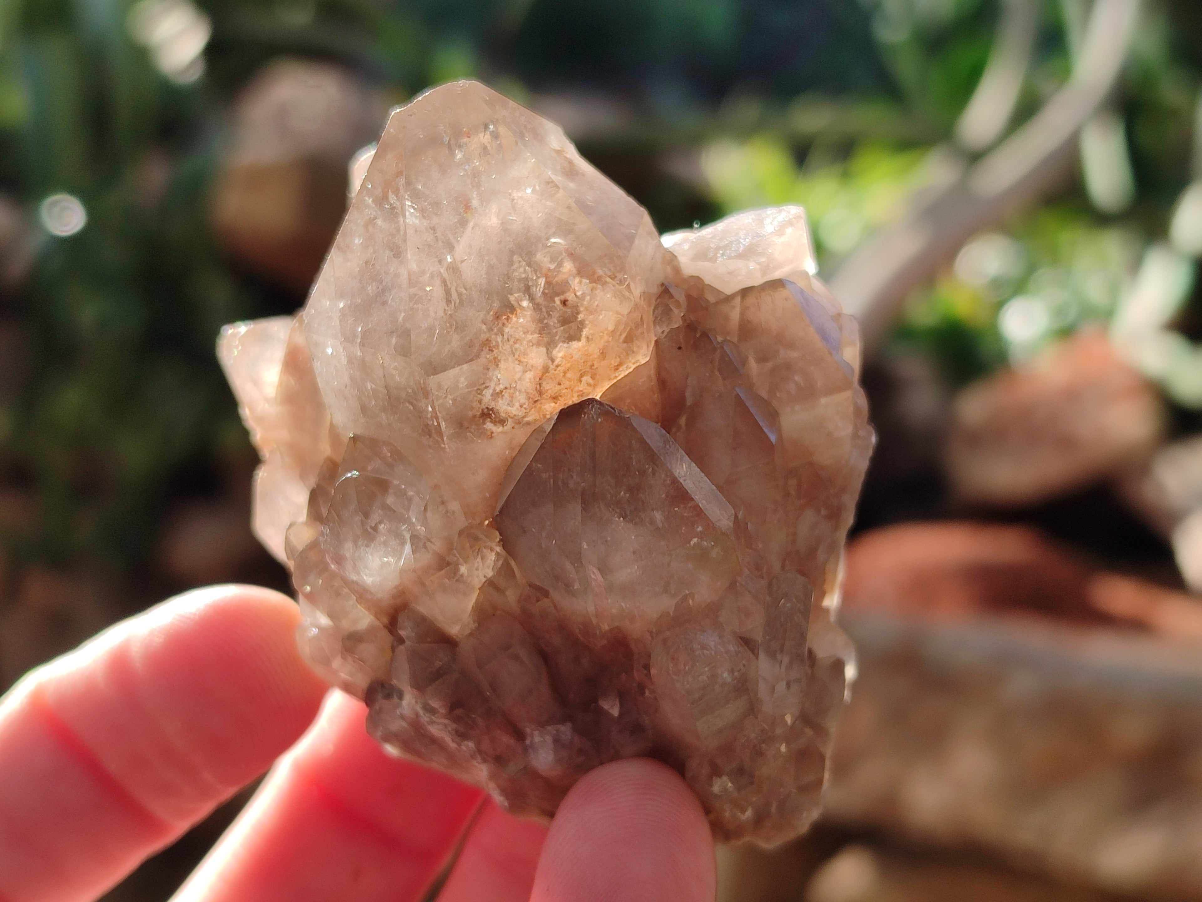 Natural White Phantom Cascading Smokey Quartz Clusters x 12 From Luena, Congo - Toprock Gemstones and Minerals 
