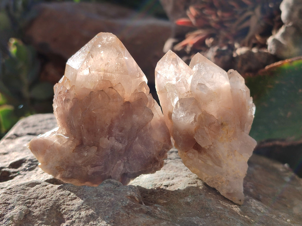 Natural White Phantom Cascading Smokey Quartz Clusters x 12 From Luena, Congo - Toprock Gemstones and Minerals 