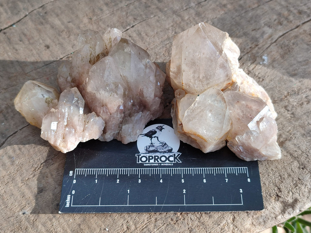Natural White Phantom Cascading Smokey Quartz Clusters x 12 From Luena, Congo - Toprock Gemstones and Minerals 