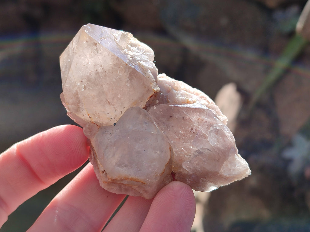 Natural White Phantom Cascading Smokey Quartz Clusters x 12 From Luena, Congo - Toprock Gemstones and Minerals 