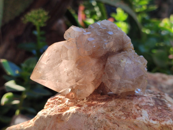 Natural White Phantom Cascading Smokey Quartz Clusters x 12 From Luena, Congo