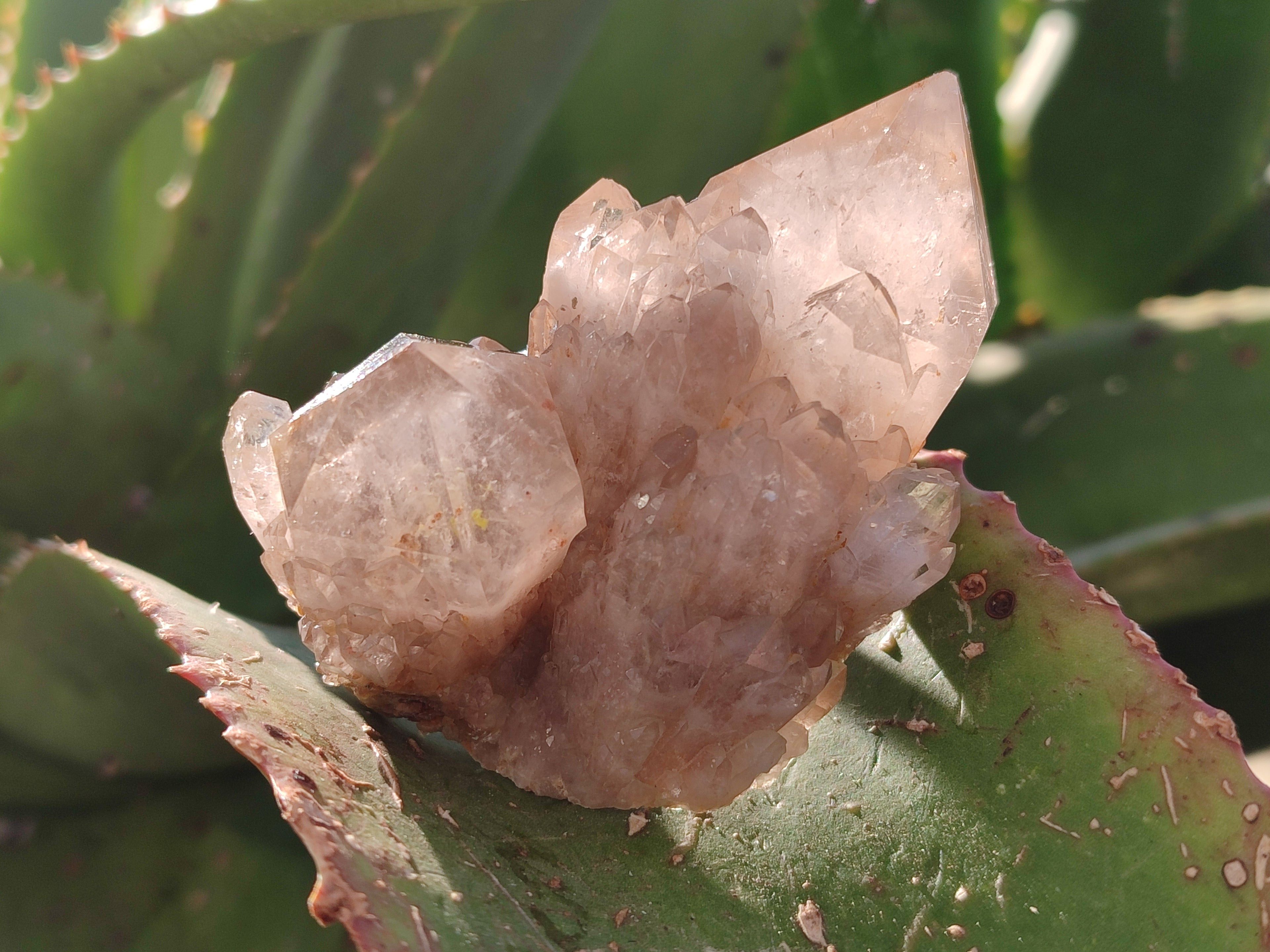 Natural White Phantom Cascading Smokey Quartz Clusters x 12 From Luena, Congo - Toprock Gemstones and Minerals 