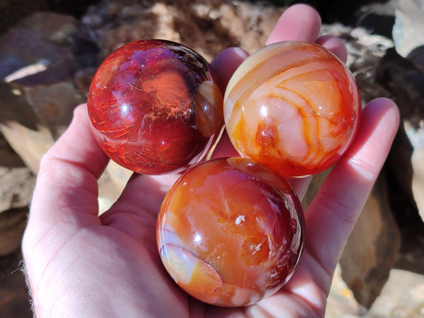 Polished Carnelian Spheres x 6 From Madagascar