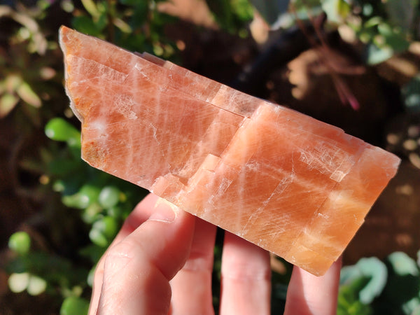 Natural Sunset Orange Calcite Specimens x 4 From Spitzkop, Namibia