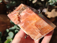 Natural Sunset Orange Calcite Specimens x 4 From Spitzkop, Namibia