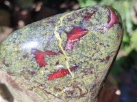Polished Bastite Dragons Blood Stone Standing Free Form x 1 From Tshipise, South Africa - Toprock Gemstones and Minerals 
