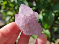 Natural Cactus Flower Amethyst Spirit Crystals x 35 From South Africa