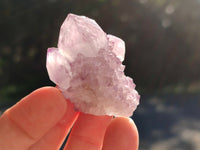 Natural Cactus Flower Amethyst Spirit Crystals x 35 From South Africa
