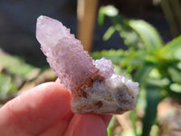 Natural Cactus Flower Amethyst Spirit Crystals x 35 From South Africa