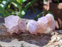 Natural Cactus Flower Amethyst Spirit Crystals x 35 From South Africa
