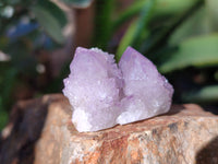 Natural Cactus Flower Amethyst Spirit Crystals x 35 From South Africa