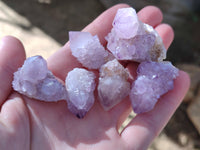 Natural Cactus Flower Amethyst Spirit Crystals x 35 From South Africa