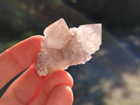 Natural Cactus Flower Amethyst Spirit Crystals x 35 From South Africa