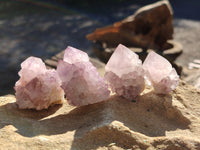 Natural Cactus Flower Amethyst Spirit Crystals x 35 From South Africa