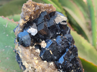 Natural Schorl Black Tourmaline Specimens x 2 From Erongo, Namibia