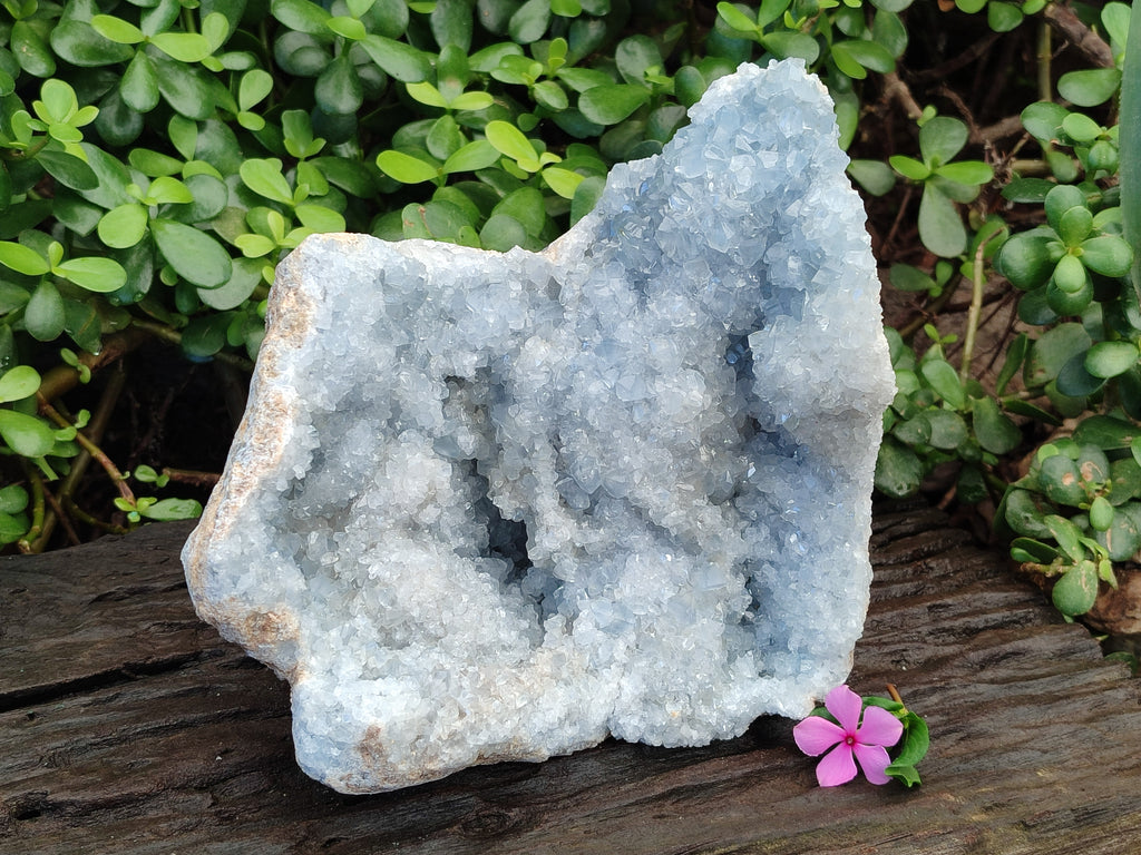 Natural Celestite Geode Specimens x 1 From Sakoany, Madagascar - Toprock Gemstones and Minerals 