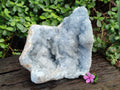 Natural Celestite Geode Specimens x 1 From Sakoany, Madagascar - Toprock Gemstones and Minerals 