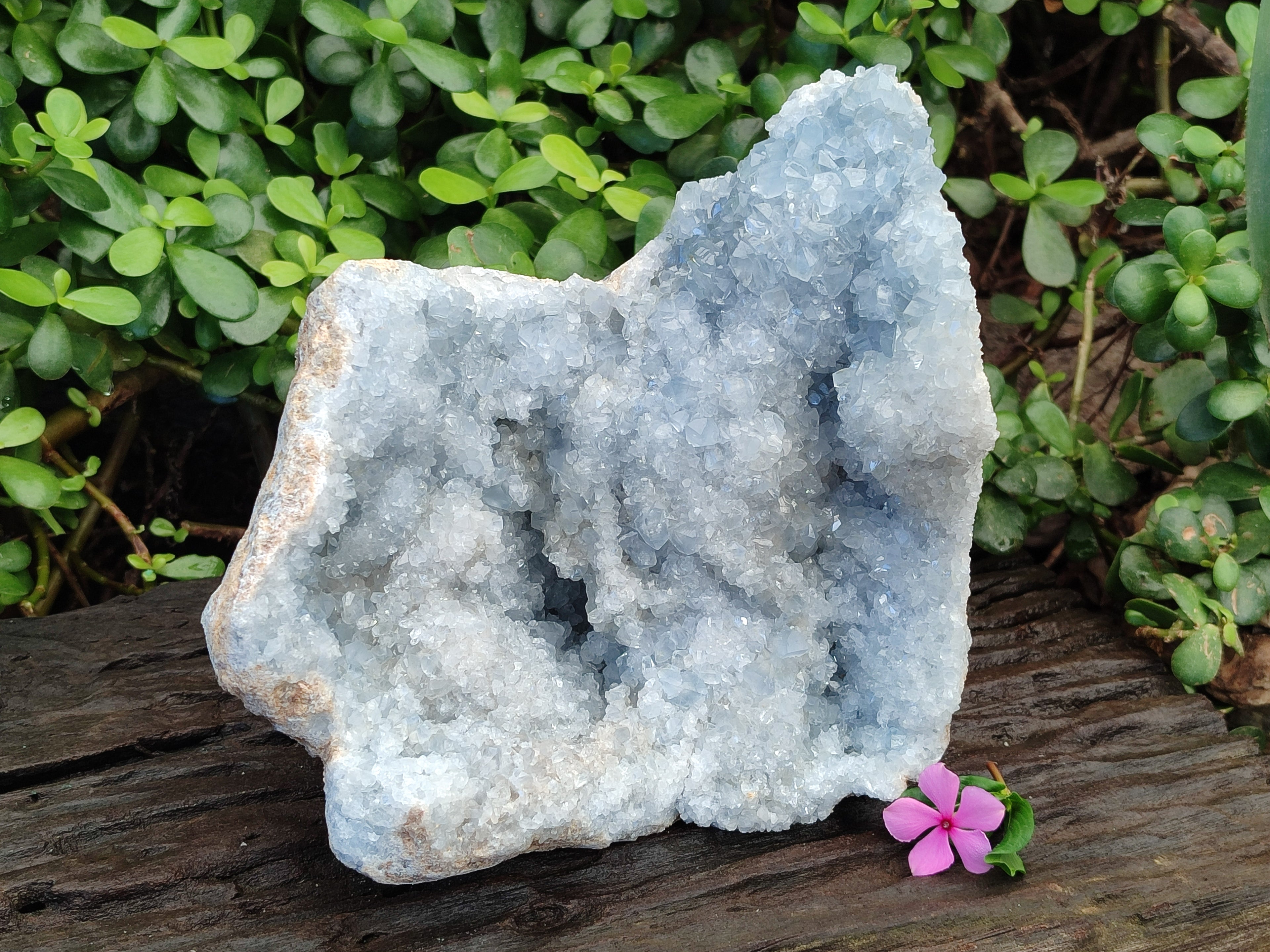 Natural Celestite Geode Specimens x 1 From Sakoany, Madagascar - Toprock Gemstones and Minerals 