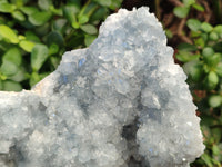 Natural Celestite Geode Specimens x 1 From Sakoany, Madagascar