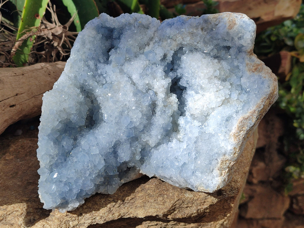 Natural Celestite Geode Specimens x 1 From Sakoany, Madagascar - Toprock Gemstones and Minerals 