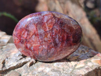 Polished Red Hematoid Quartz Palm Stones x 20 From Ambatondrazaka, Madagascar - Toprock Gemstones and Minerals 