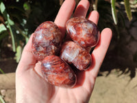 Polished Red Hematoid Quartz Palm Stones x 20 From Ambatondrazaka, Madagascar - Toprock Gemstones and Minerals 