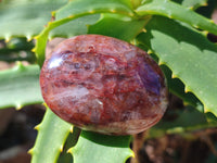 Polished Red Hematoid Quartz Palm Stones x 20 From Ambatondrazaka, Madagascar - Toprock Gemstones and Minerals 