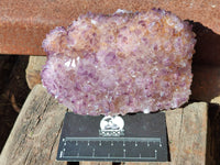 Natural Botryoidal Spirit Ametrine Quartz Cluster x 1 From Boekenhouthoek, South Africa