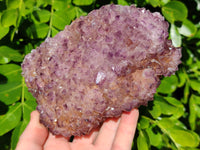 Natural Botryoidal Spirit Ametrine Quartz Cluster x 1 From Boekenhouthoek, South Africa