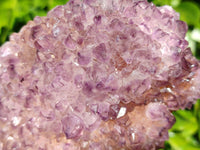 Natural Botryoidal Spirit Ametrine Quartz Cluster x 1 From Boekenhouthoek, South Africa