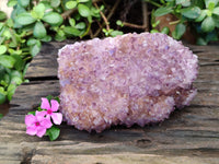 Natural Botryoidal Spirit Ametrine Quartz Cluster x 1 From Boekenhouthoek, South Africa