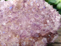 Natural Botryoidal Spirit Ametrine Quartz Cluster x 1 From Boekenhouthoek, South Africa