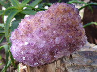 Natural Botryoidal Spirit Ametrine Quartz Cluster x 1 From Boekenhouthoek, South Africa