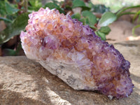 Natural Botryoidal Spirit Ametrine Quartz Cluster x 1 From Boekenhouthoek, South Africa