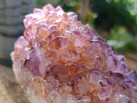 Natural Botryoidal Spirit Ametrine Quartz Cluster x 1 From Boekenhouthoek, South Africa