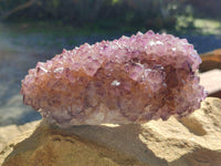 Natural Botryoidal Spirit Ametrine Quartz Cluster x 1 From Boekenhouthoek, South Africa